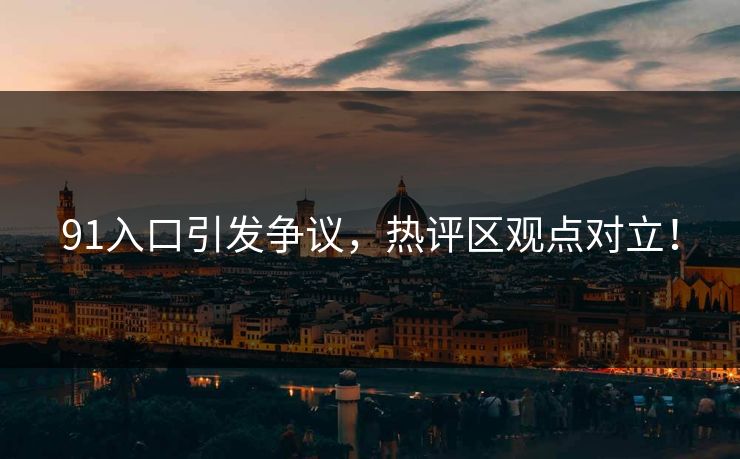91入口引发争议，热评区观点对立！