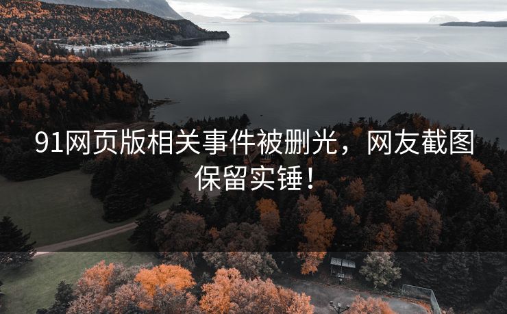 91网页版相关事件被删光，网友截图保留实锤！