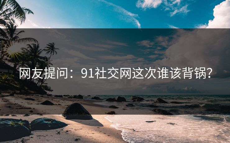 网友提问：91社交网这次谁该背锅？