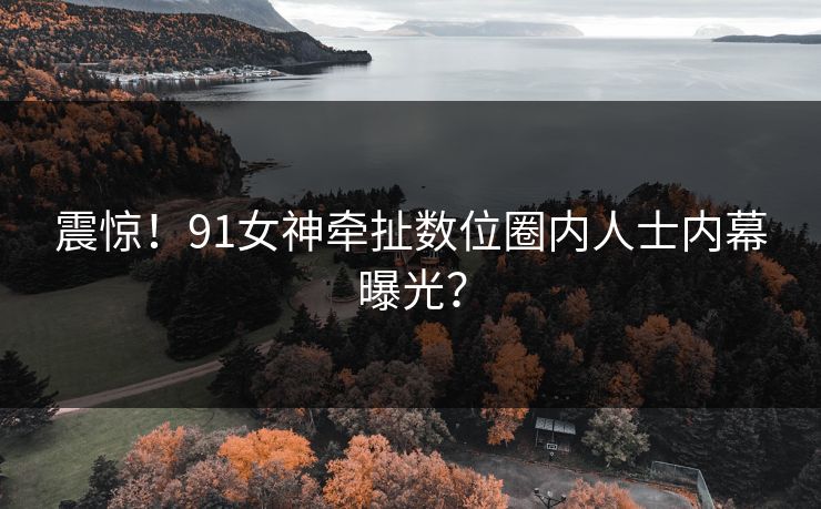 震惊！91女神牵扯数位圈内人士内幕曝光？