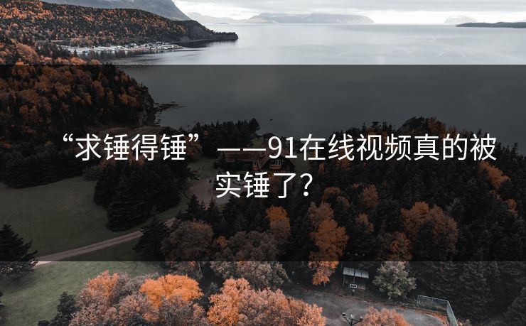 “求锤得锤”——91在线视频真的被实锤了？