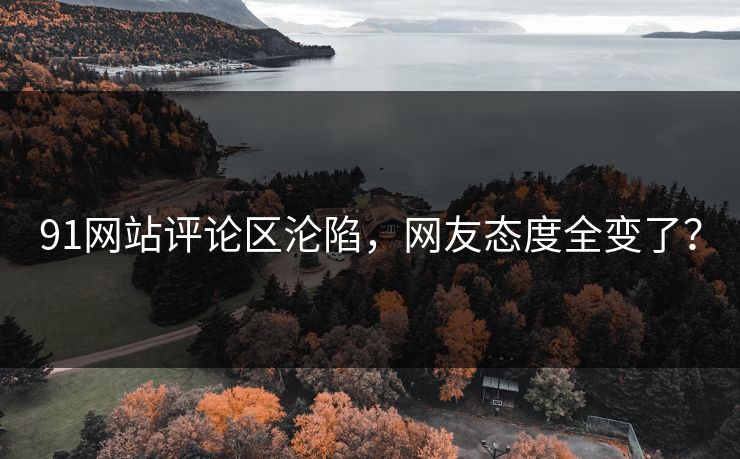 91网站评论区沦陷，网友态度全变了？