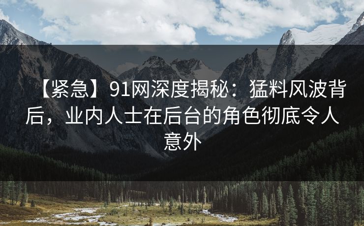 【紧急】91网深度揭秘：猛料风波背后，业内人士在后台的角色彻底令人意外