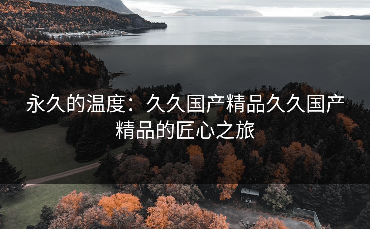 永久的温度：久久国产精品久久国产精品的匠心之旅