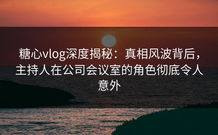 糖心vlog深度揭秘：真相风波背后，主持人在公司会议室的角色彻底令人意外