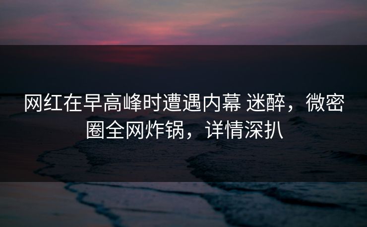 网红在早高峰时遭遇内幕 迷醉，微密圈全网炸锅，详情深扒