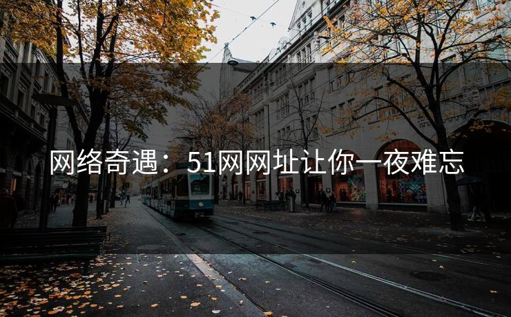 网络奇遇：51网网址让你一夜难忘